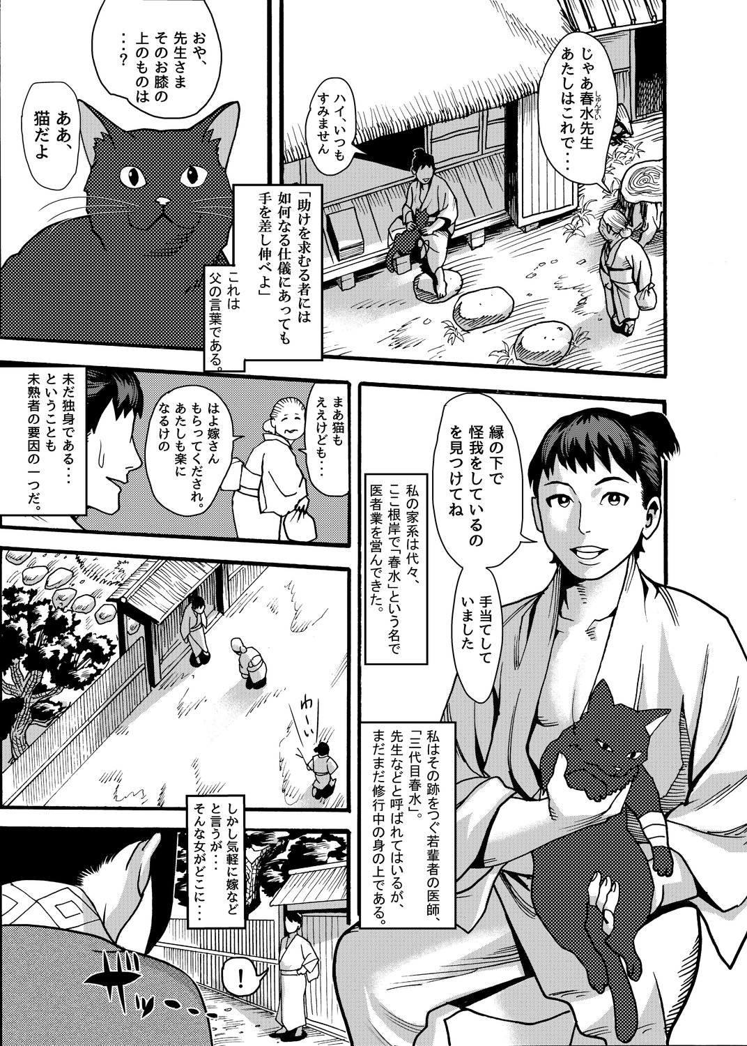 Mayoineko Kunoichi Nagare Ninpouchou - Page 2