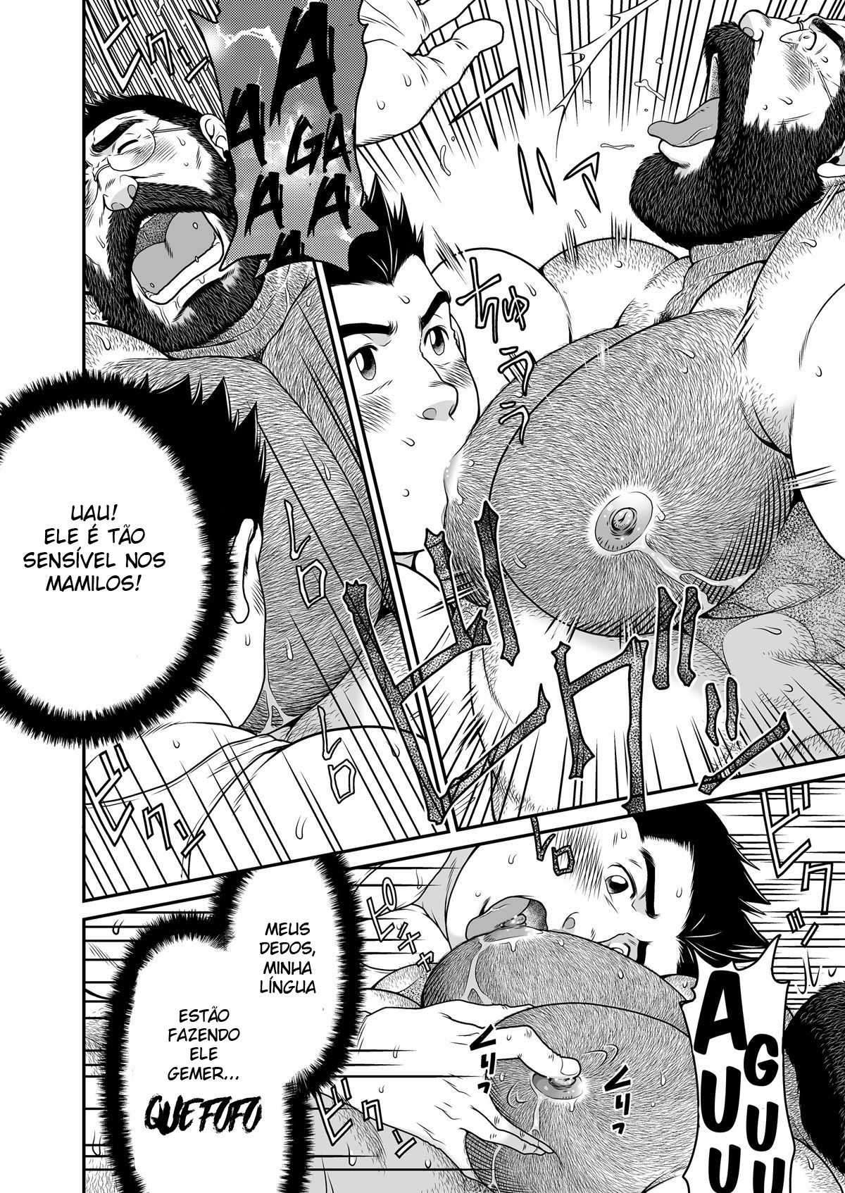 Urso Pardo - Page 27