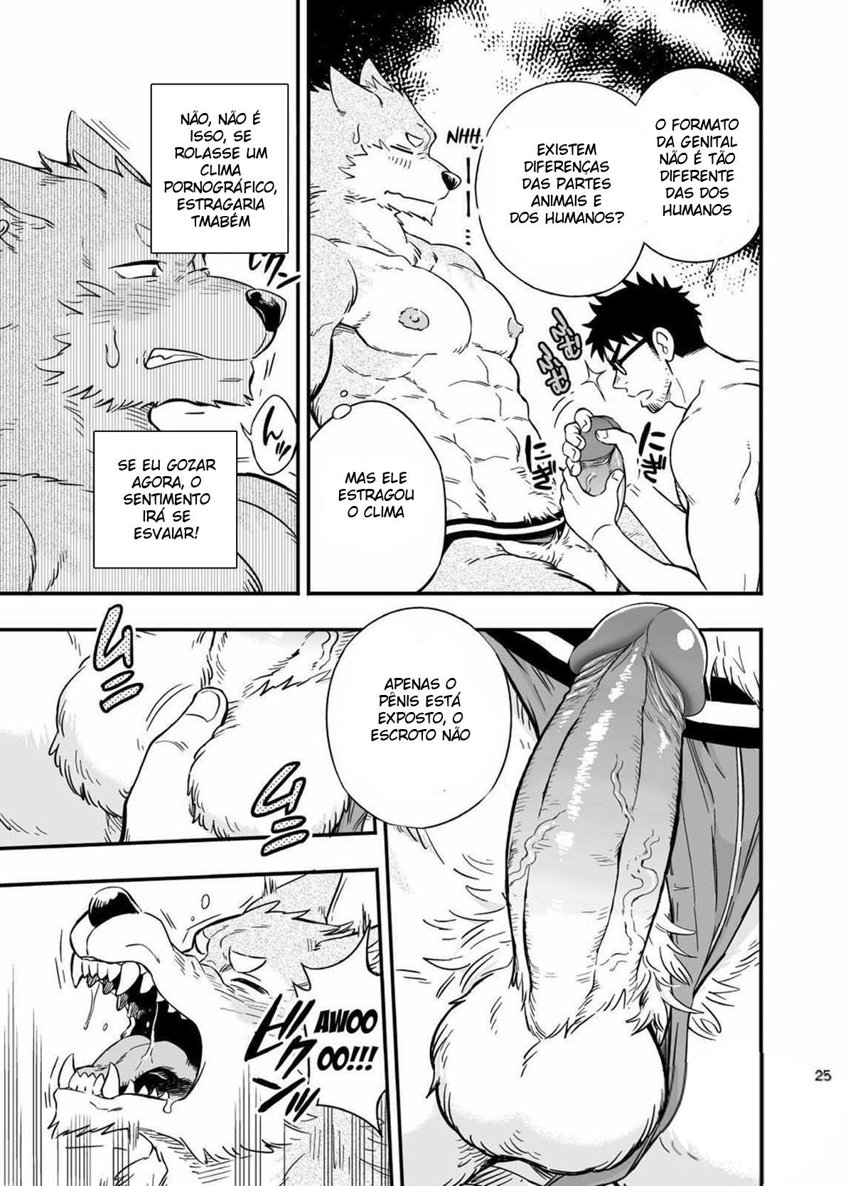 A Situação do Lobisomem Solitário - Page 26