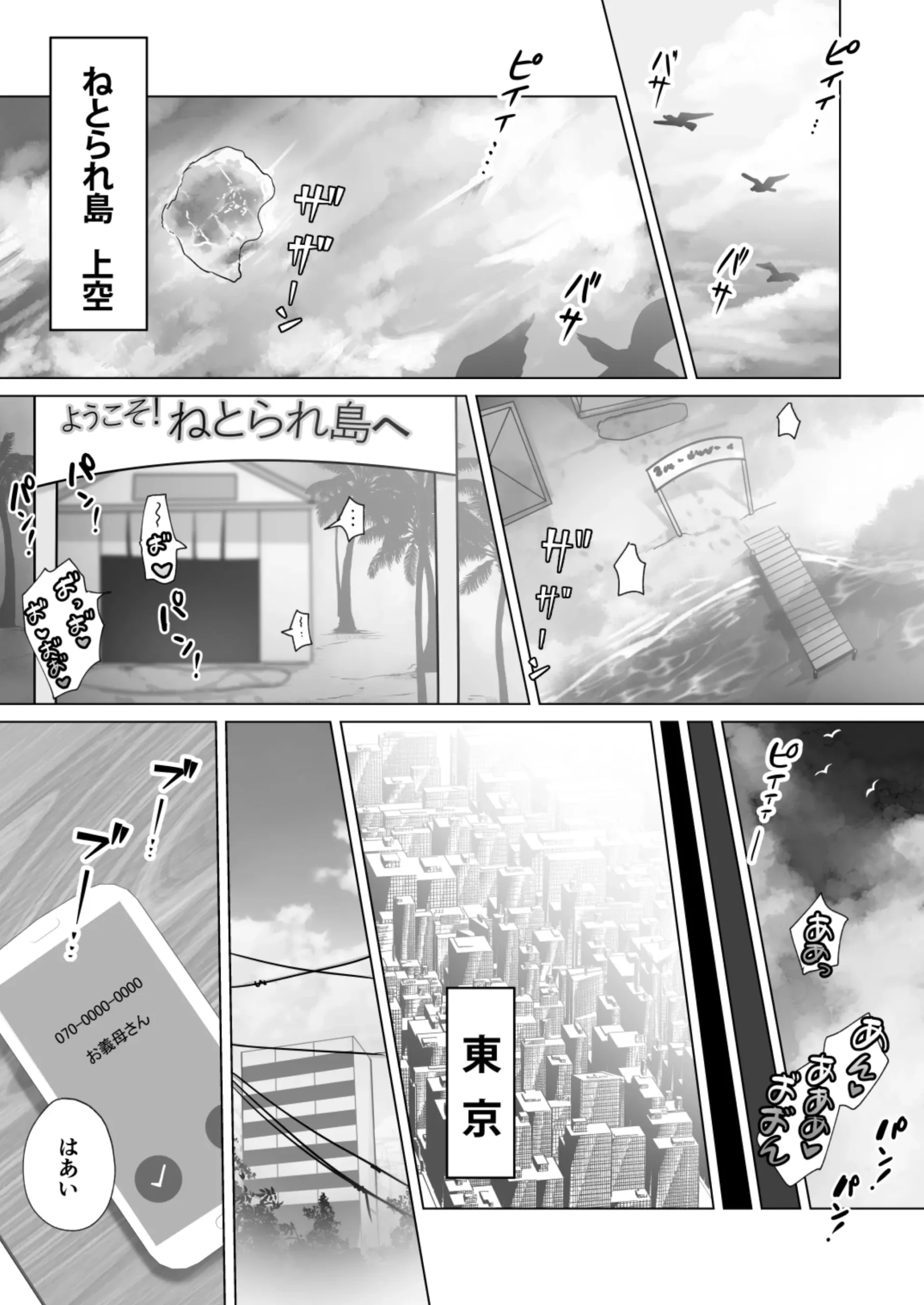 Seiso Hitozuma no NTR Ryokouki - Page 3