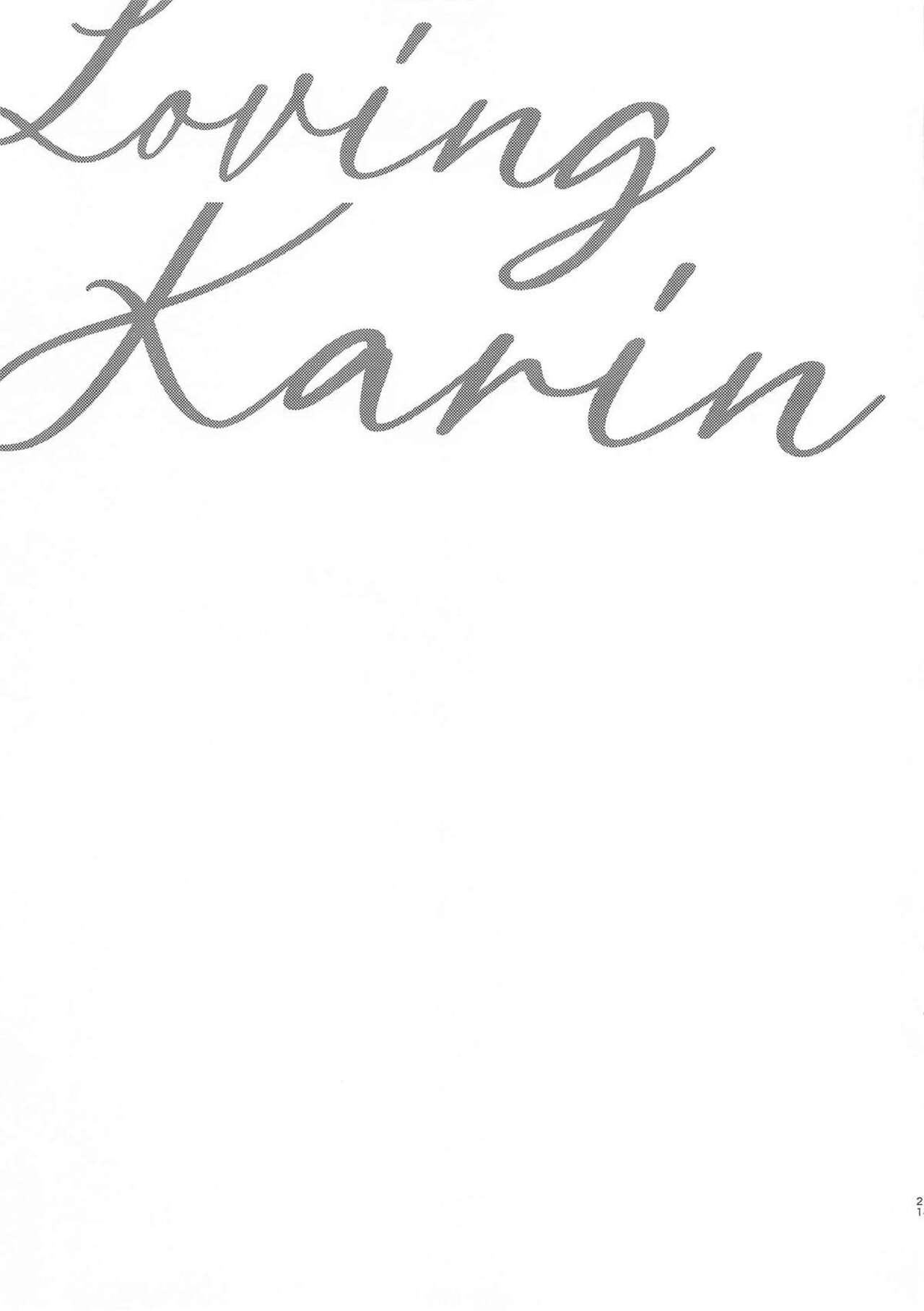 Loving Karin - Page 20