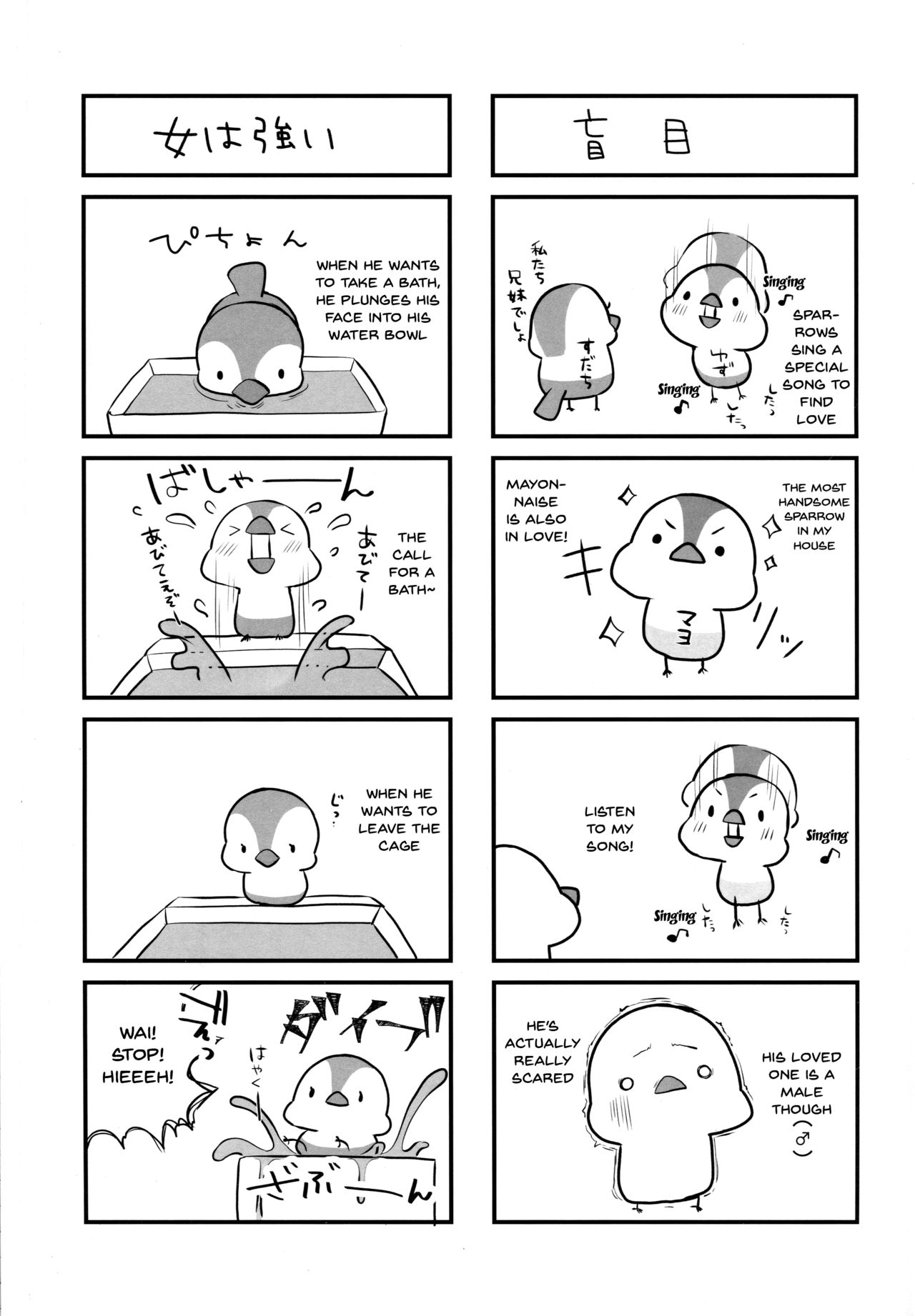 BB-chan no Senpai Yarisute Daisakusen - Page 24