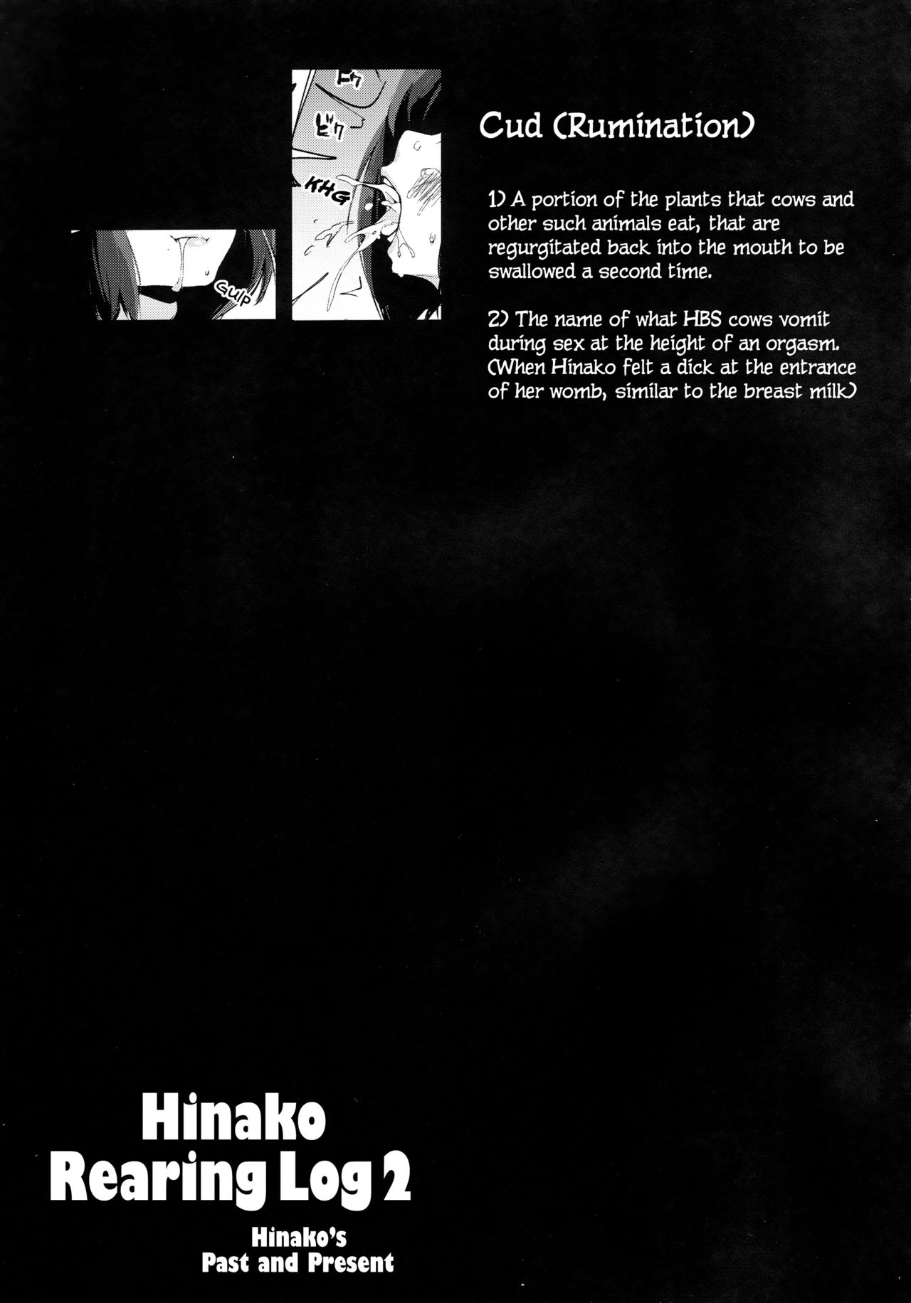 Hinako Ikusei Nisshi 2 - Page 31